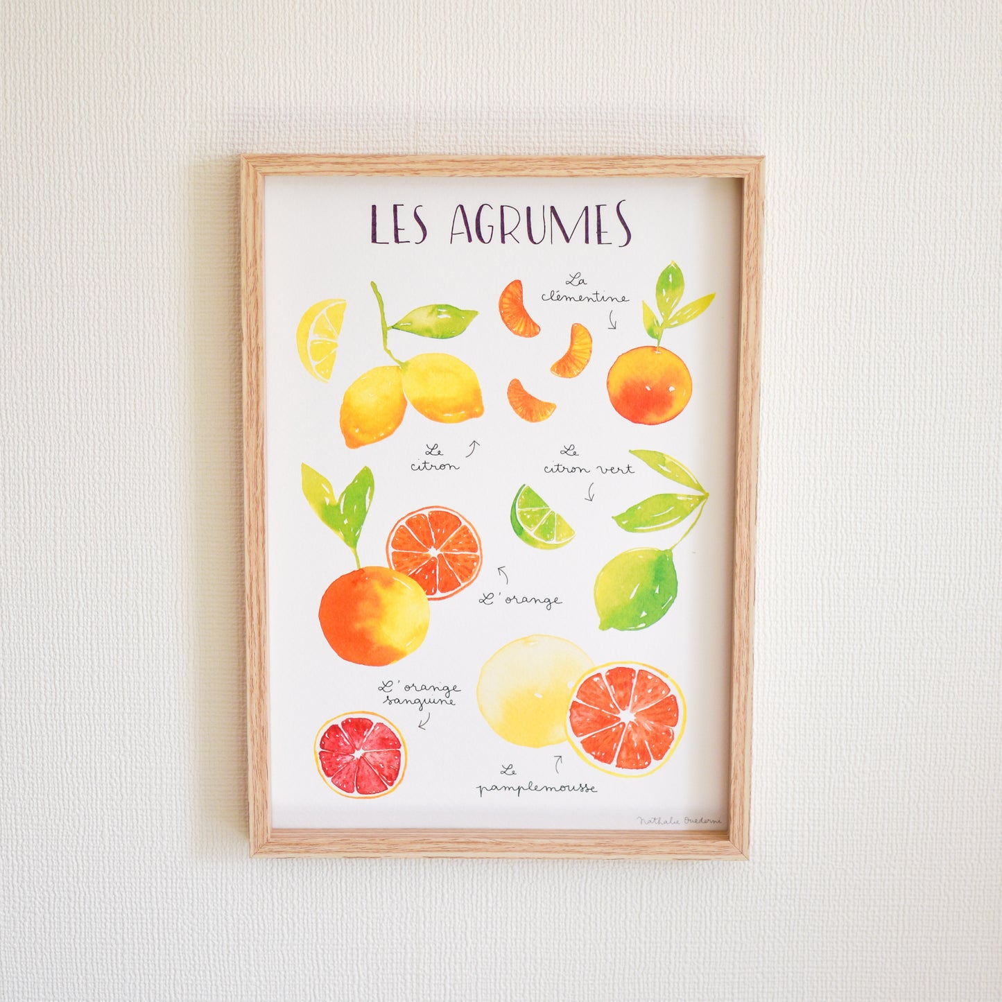 アートポスター Citrus Fruits